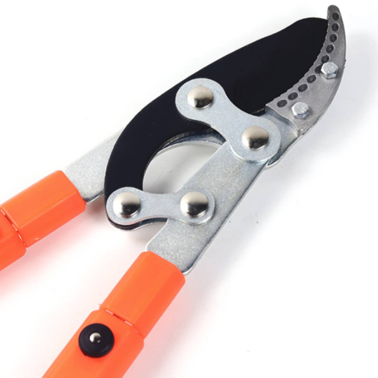 텔레스코픽 가지치기 가위 날카로운 칼날 튼튼한 트리 프 - Garden Tools 리뷰 및 가격
